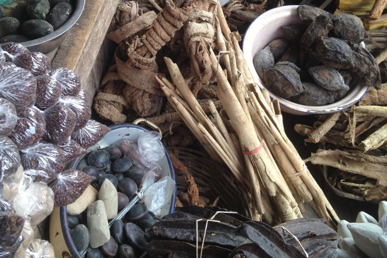 Unverified Herbal Remedies in Nigeria Linked to Asthma and Delayed Treatment